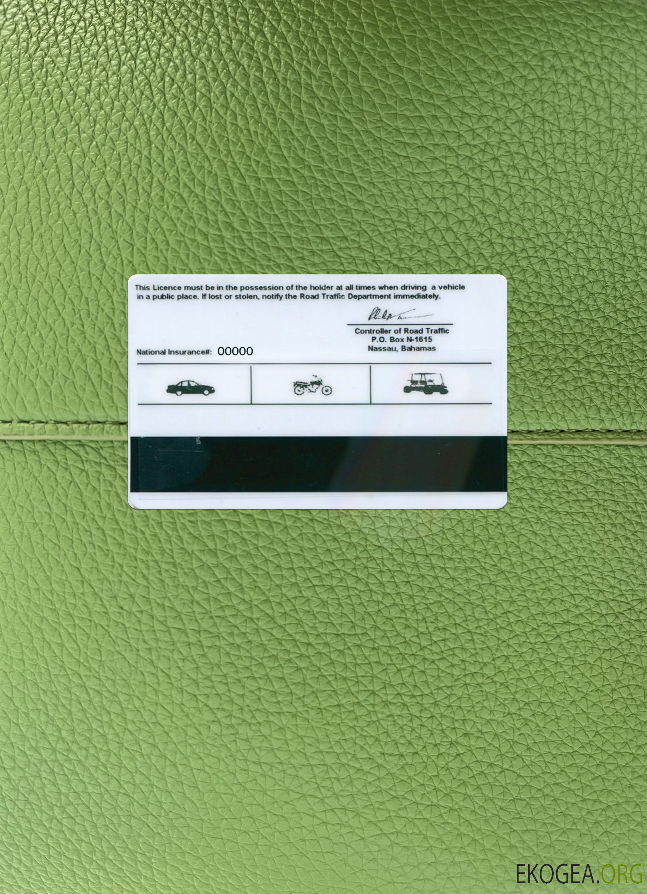 Bahamas driving license photolook back